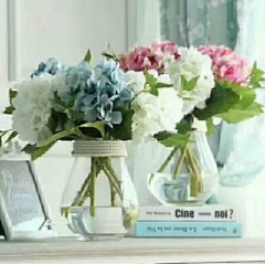 Color Vase-FH27018M